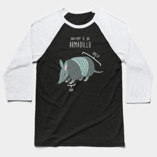 Armadillo Animal Anatomy Baseball T-Shirt